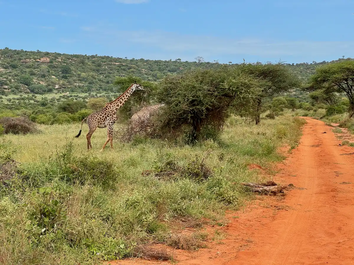 Rally Safari Kenia - 15
