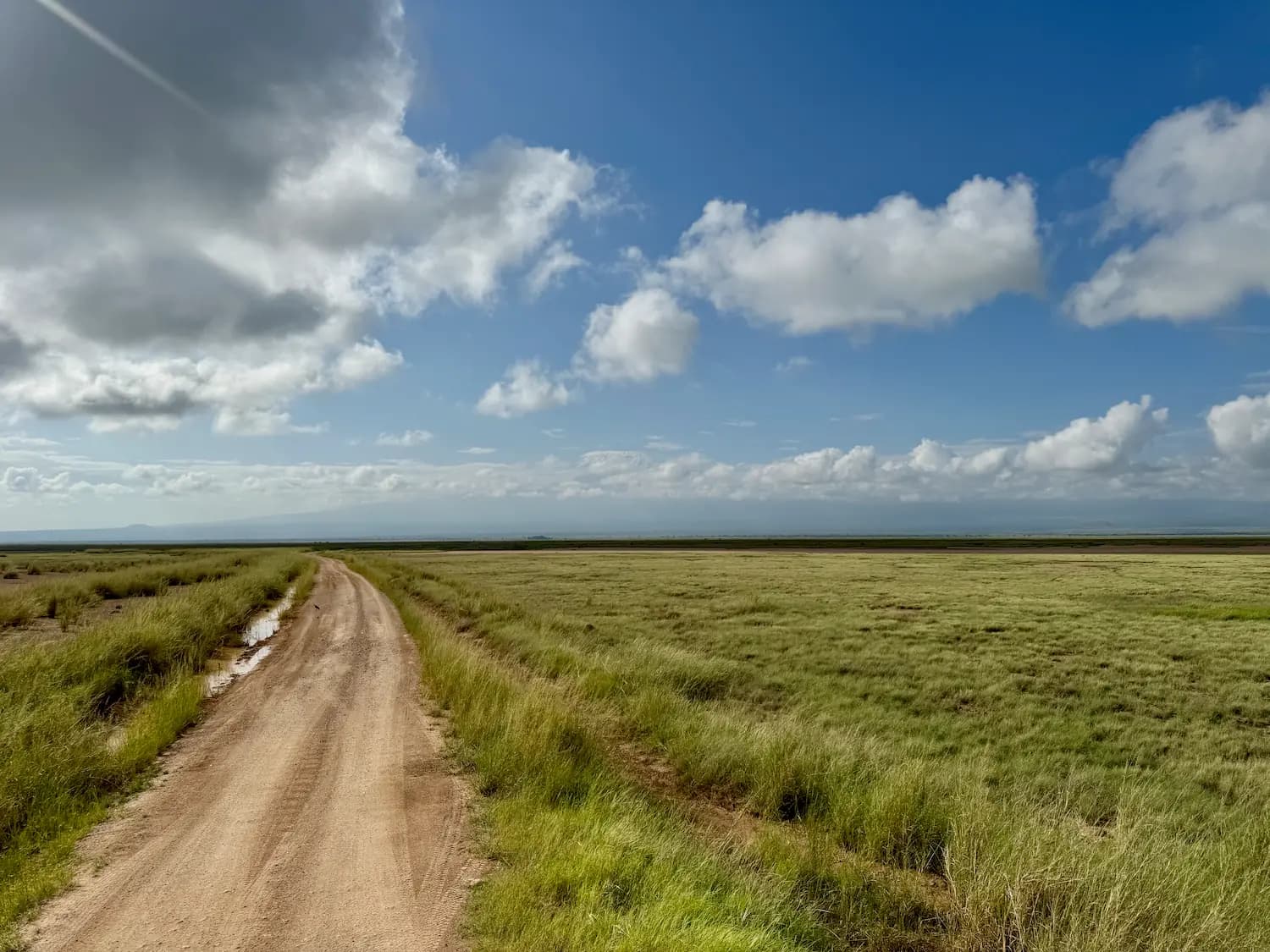 Rally Safari Kenia - 11