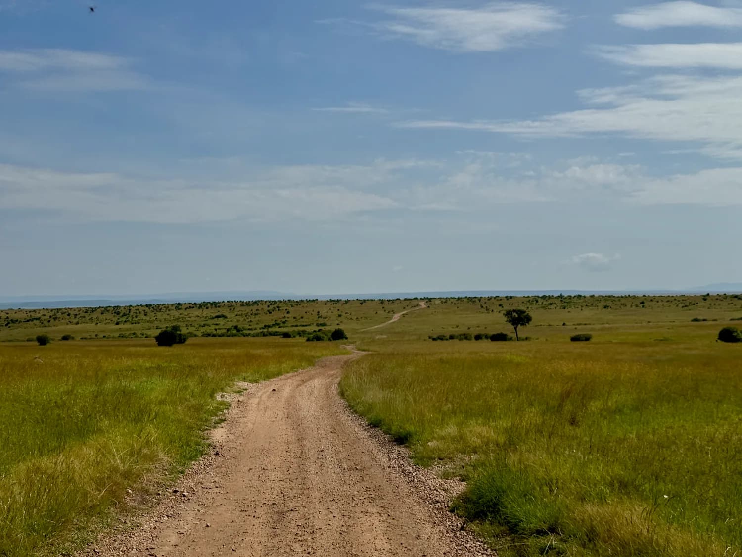 Rally Safari Kenia - 8