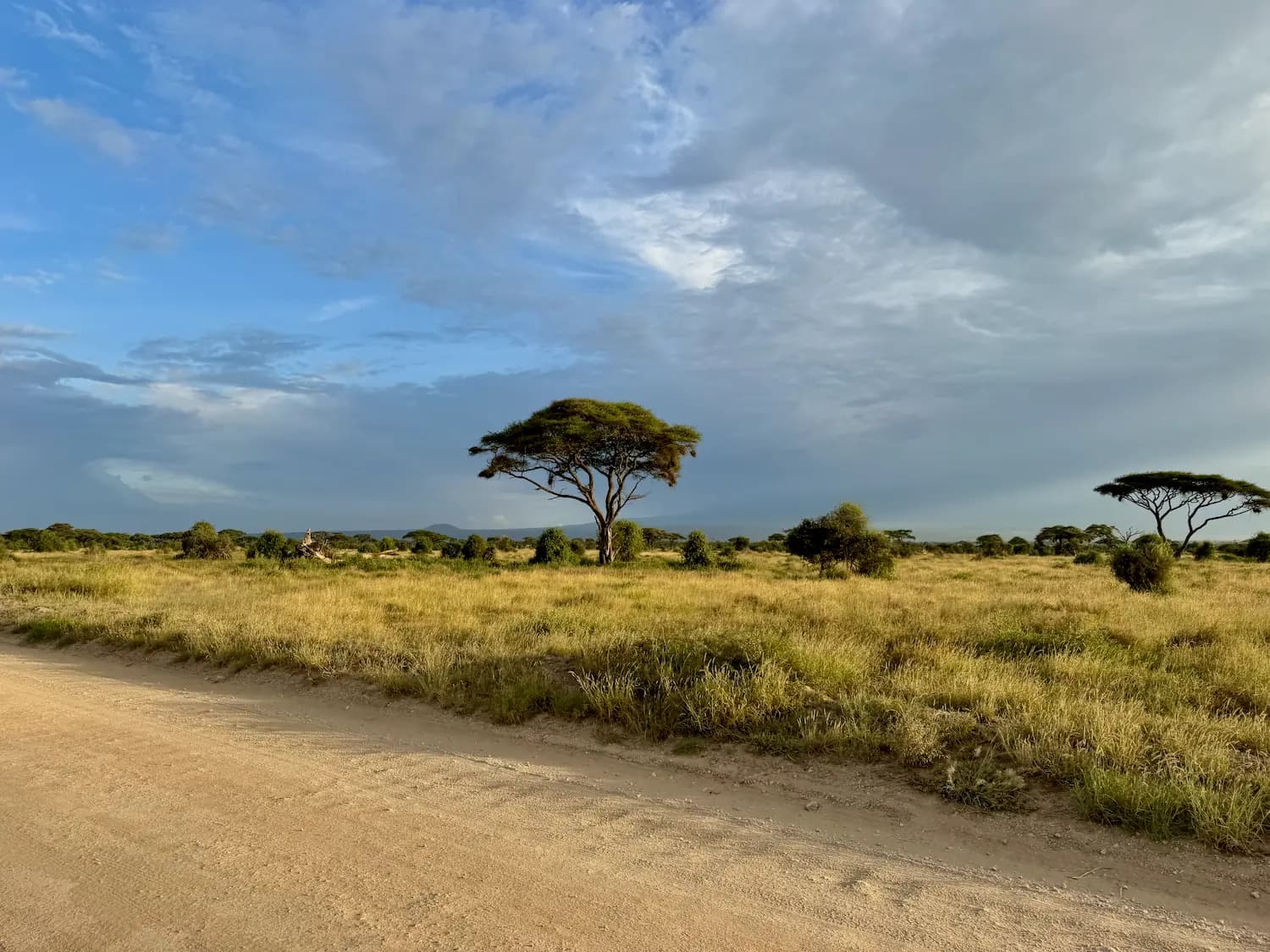 Rally Safari Kenia - 7