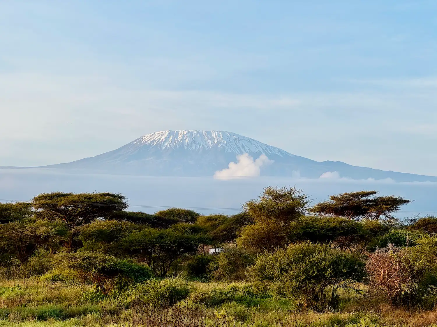 Rally Safari Kenia - 9