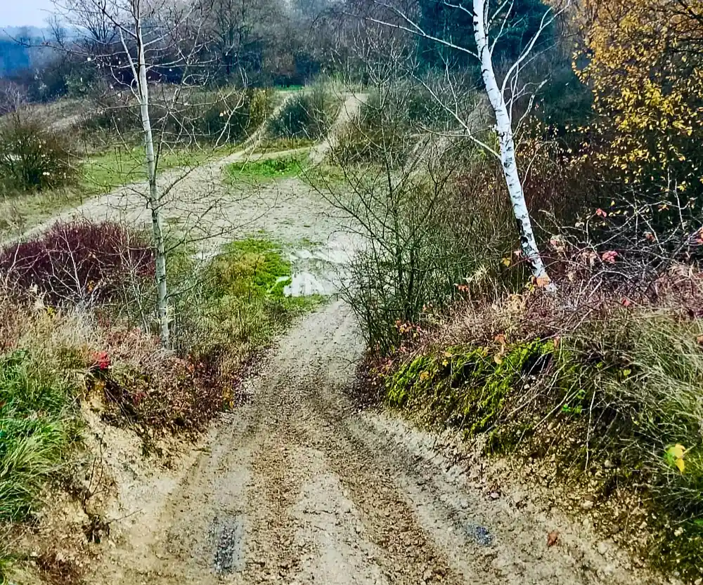 Opolszczyzna 26