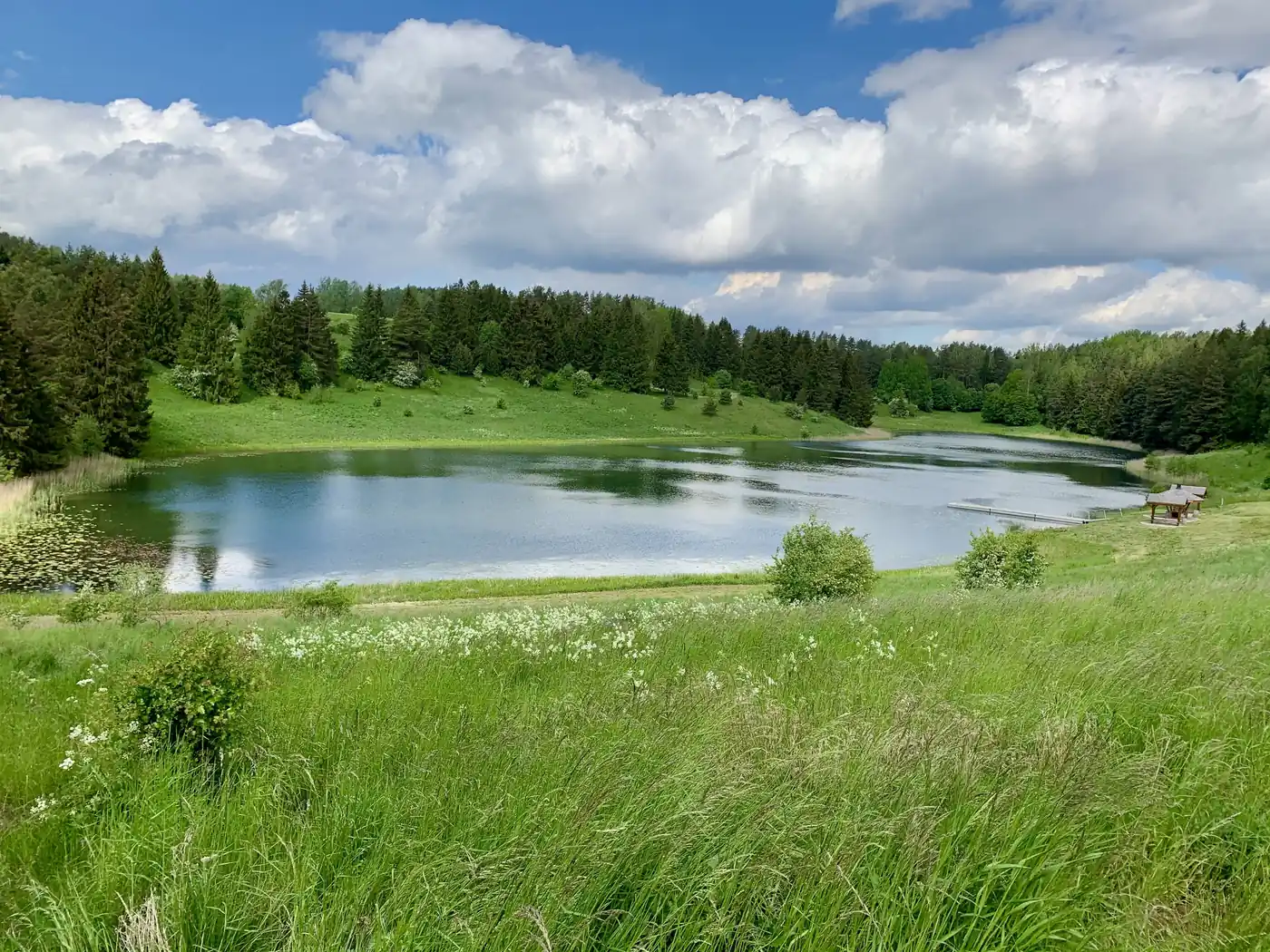 Rally Baltic 13-20.06.2025 - 7