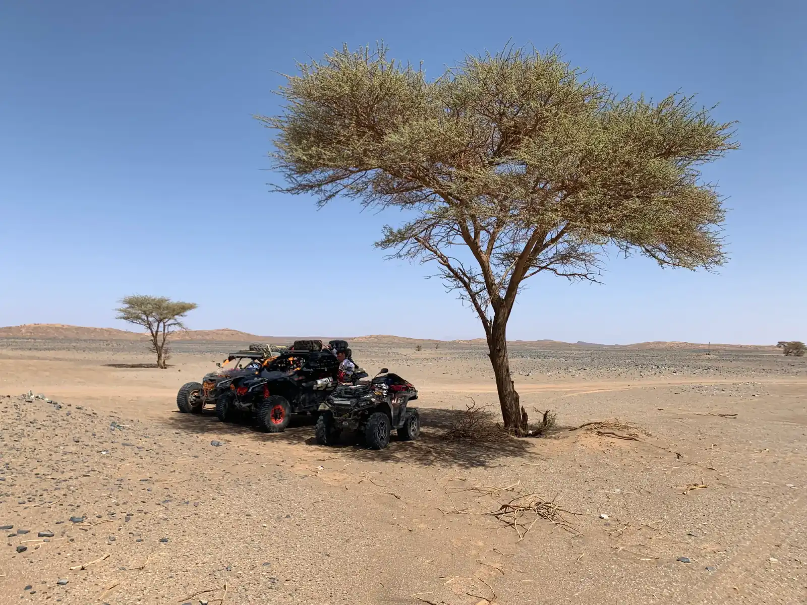 SAHARA ZACHODNIA - 4
