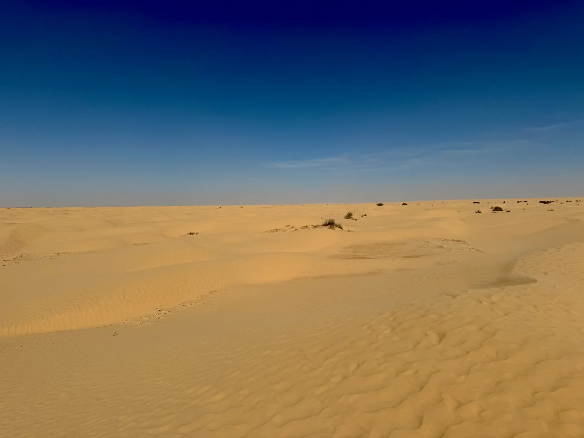 SAHARA ZACHODNIA - 20