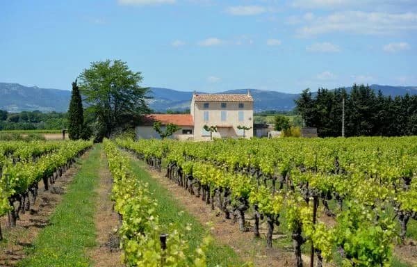 Rally Saint Tropez - Lyon - 10