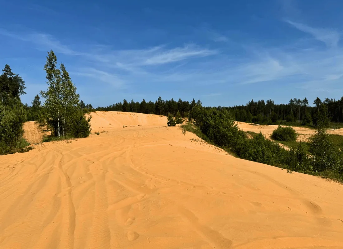 Rally Baltic 2026 zdjęcie 19